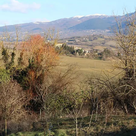Il Poggio Del Tartufo Alojamento de Acomodação e Pequeno-almoço *